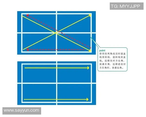 武汉乒乓球队配合表现的数据分析与战术优化研究