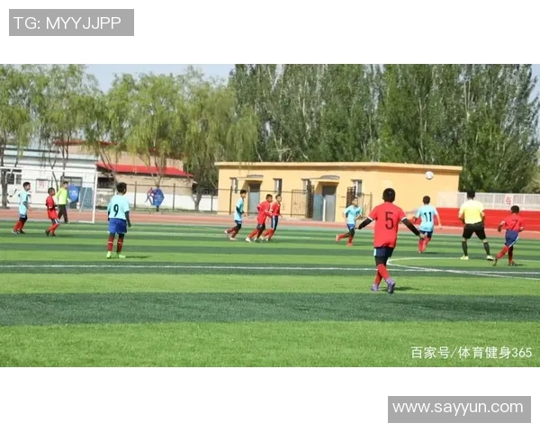 额敏县足球明星的成长之路与未来发展展望 额敏县足球明星的成长之路与未来发展展望