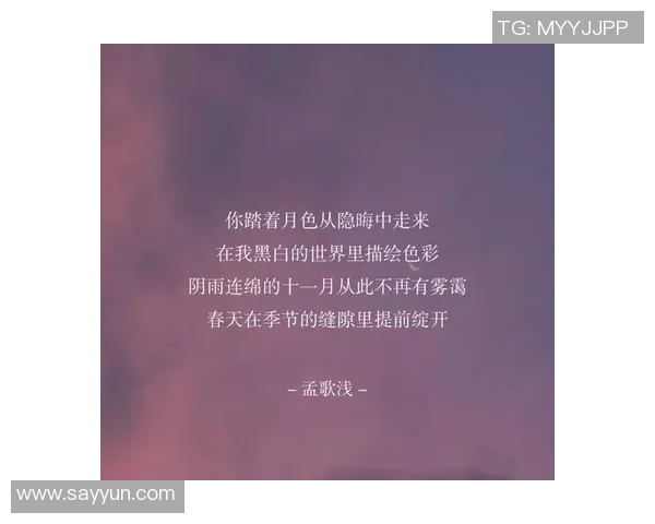 绿茵场上的爱恋与星光下的梦想交织成的浪漫传奇 绿茵场上的爱恋与星光下的梦想交织成的浪漫传奇