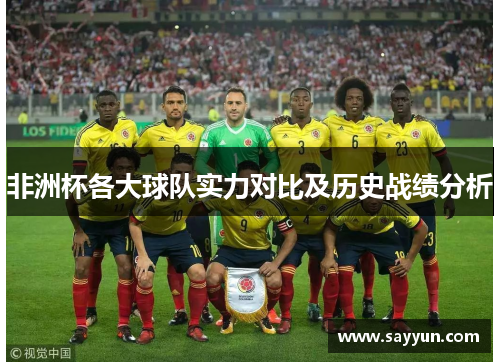 非洲杯各大球队实力对比及历史战绩分析