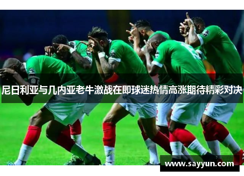 尼日利亚与几内亚老牛激战在即球迷热情高涨期待精彩对决